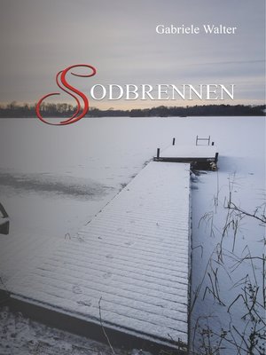 cover image of Sodbrennen